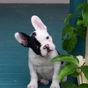 Meet your Posher, Trish